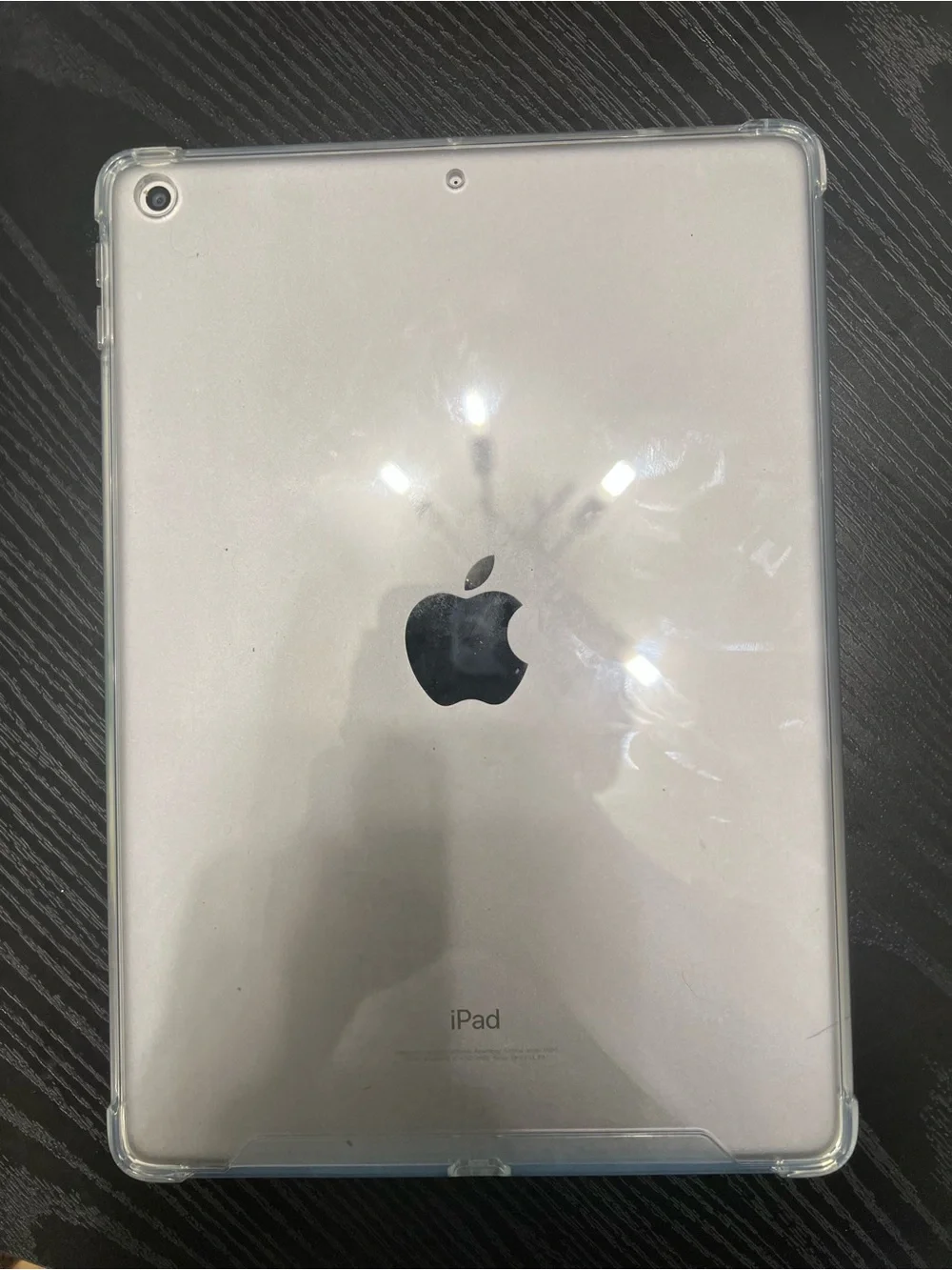 Apple iPad in Silver with Apple Pencil
